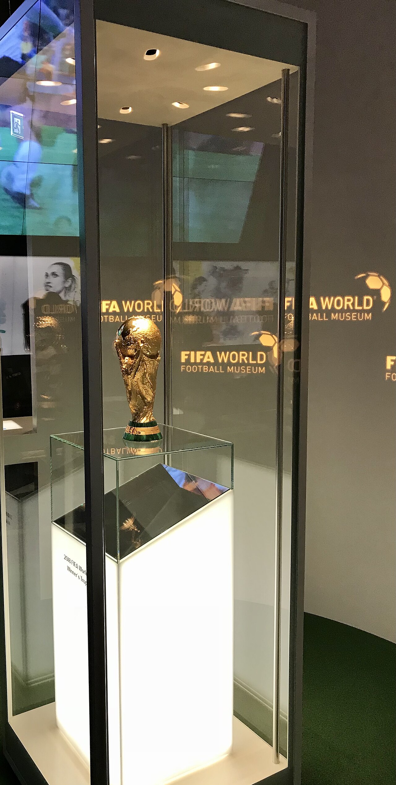 国际体坛新赛季：年轻选手崭露头角